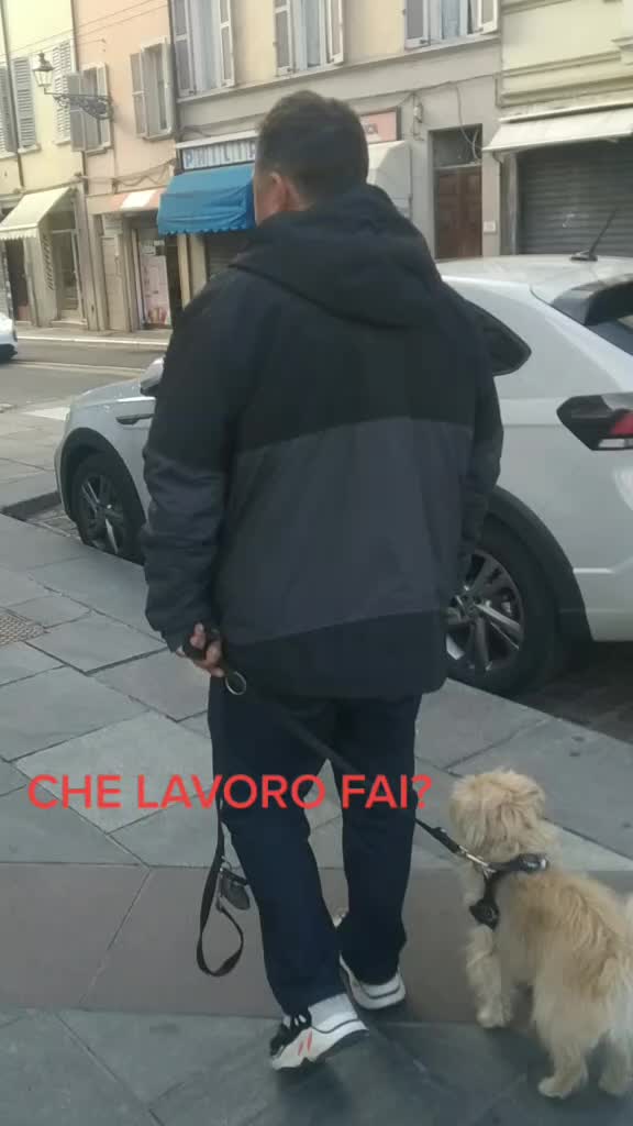 @Fabio Cammarata