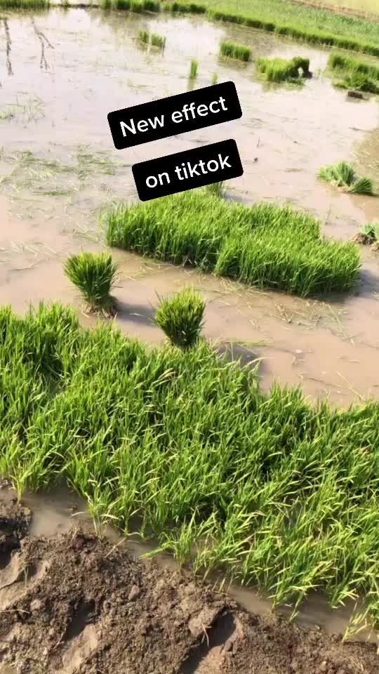 @brarsukhpal001