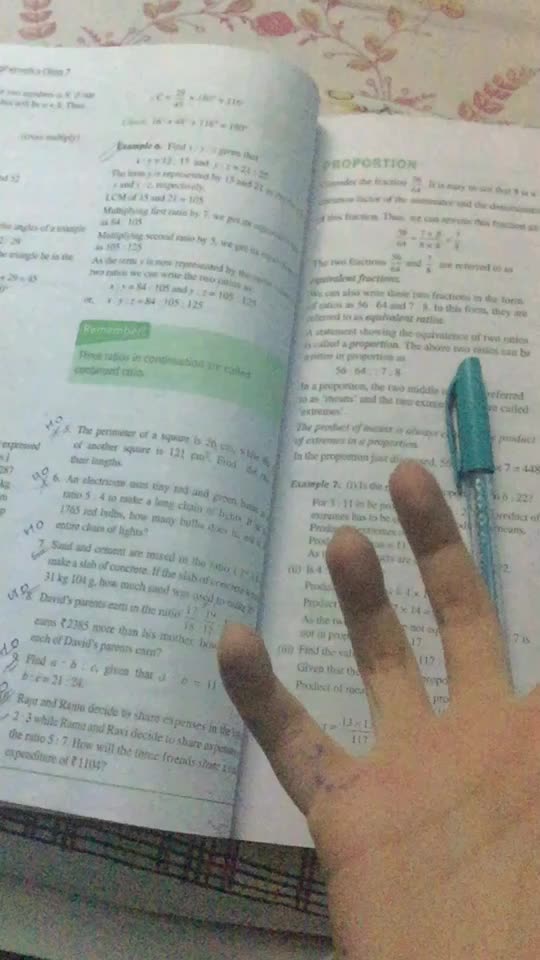 @sheenkhan6204