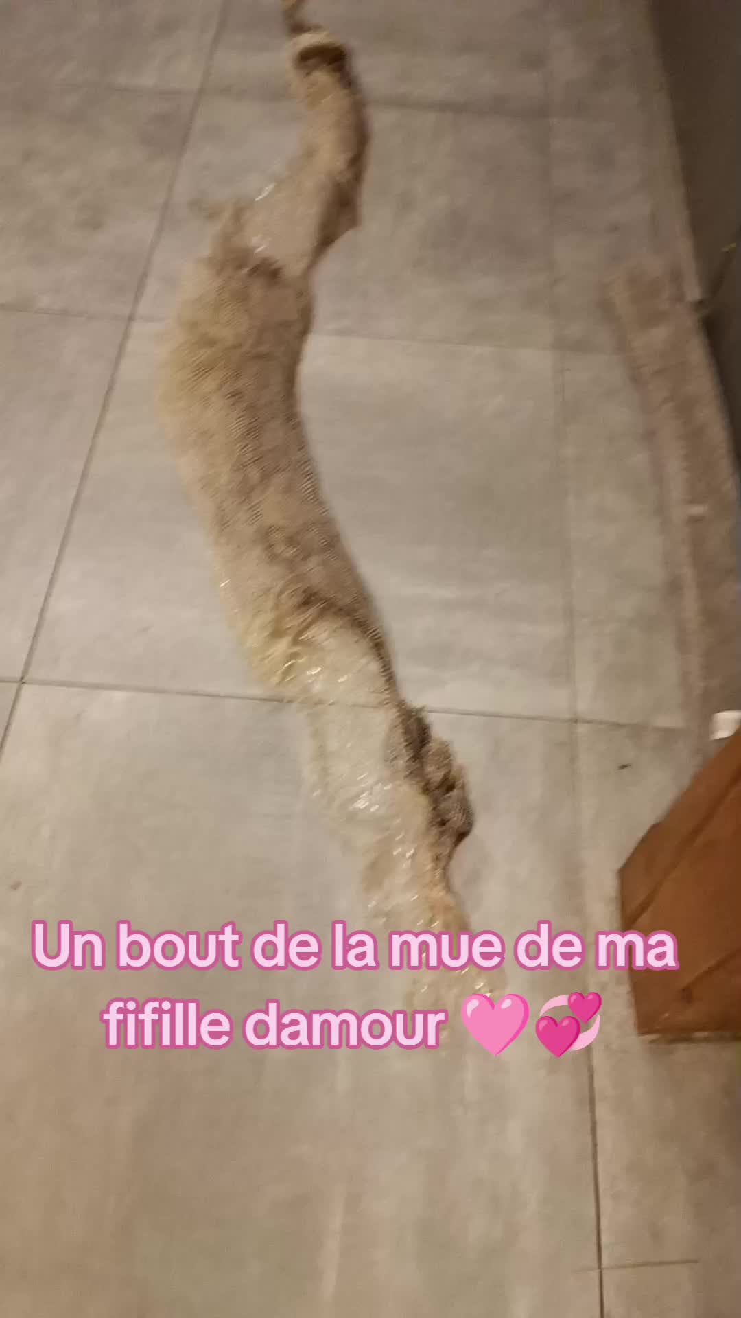 @๐ท๐๐๐๐๐ ๐๐๐ ๐๐๐๐๐