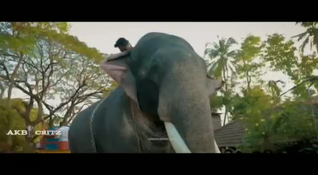 @Althaf Althu