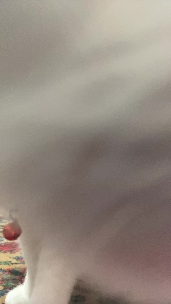 @esteticanj0