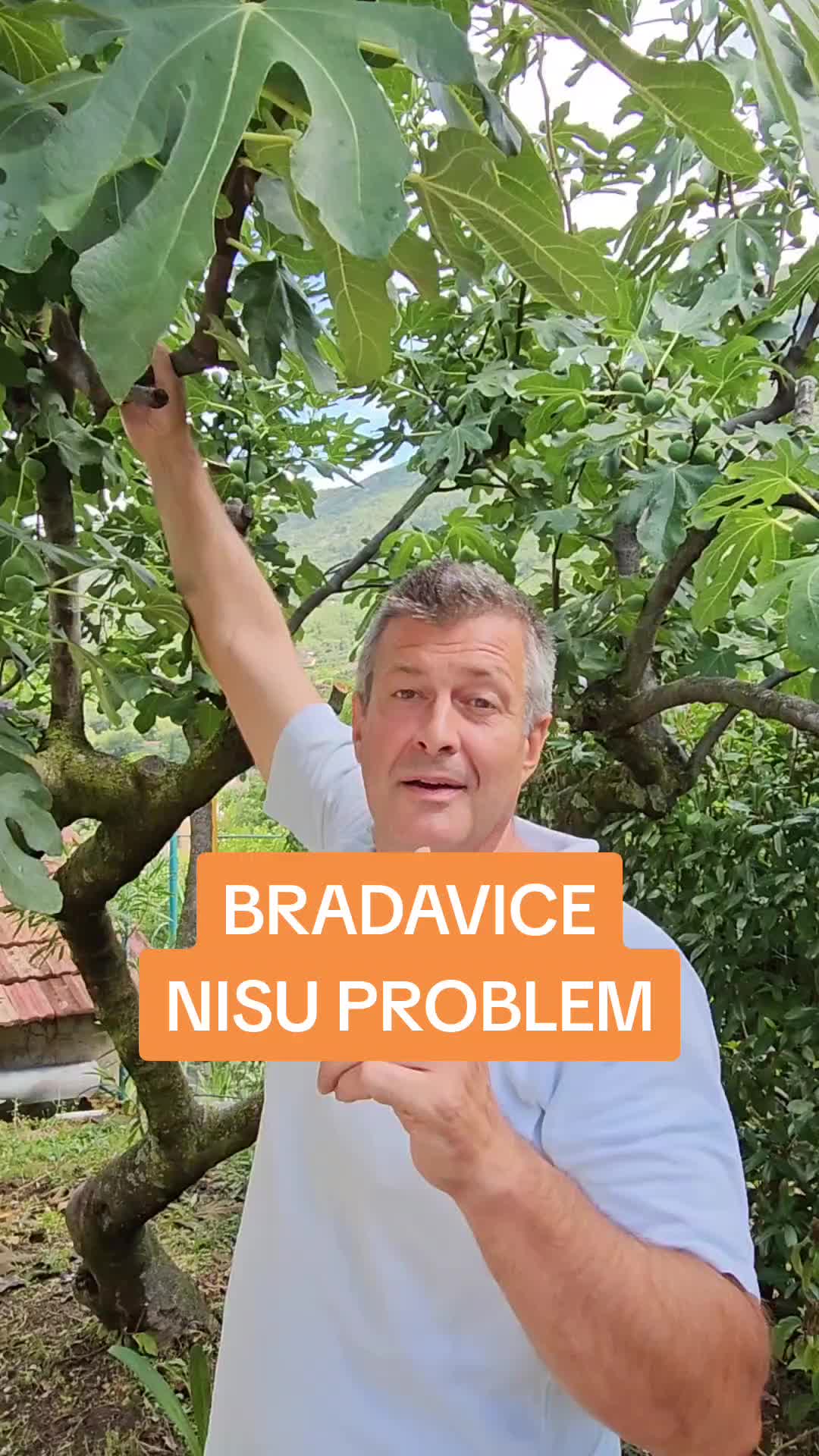 @Dejan Dragićević