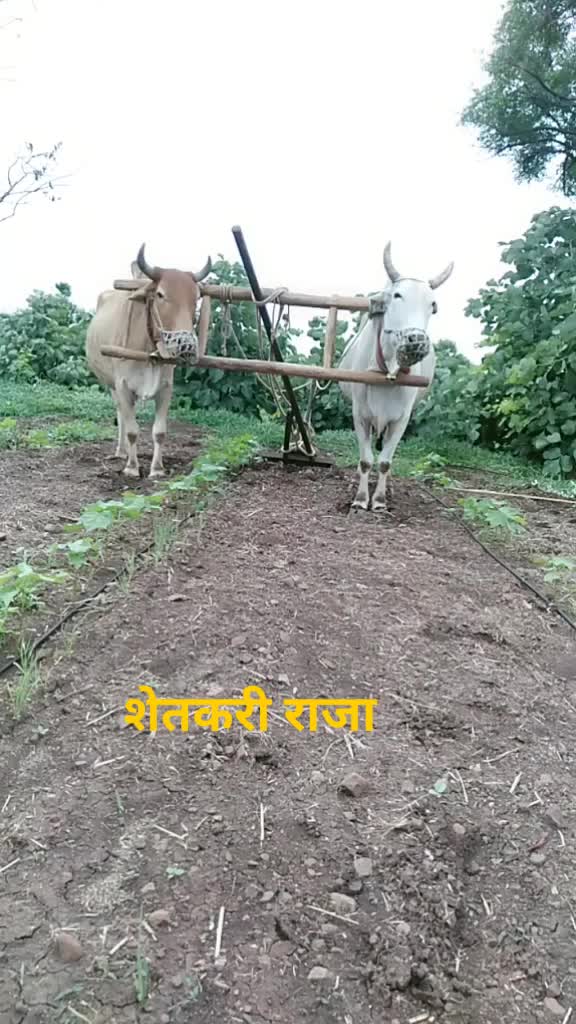@rahul jaware