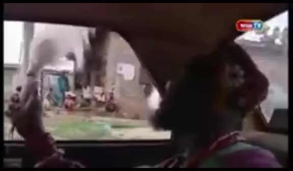 @Abolga