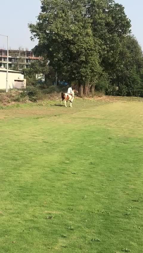 @Ashu1100