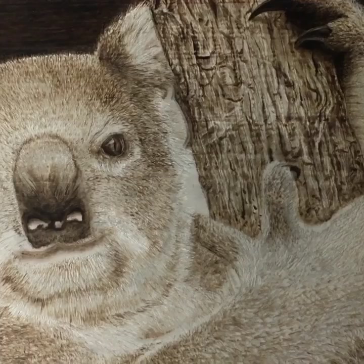 @Pyrography Dude