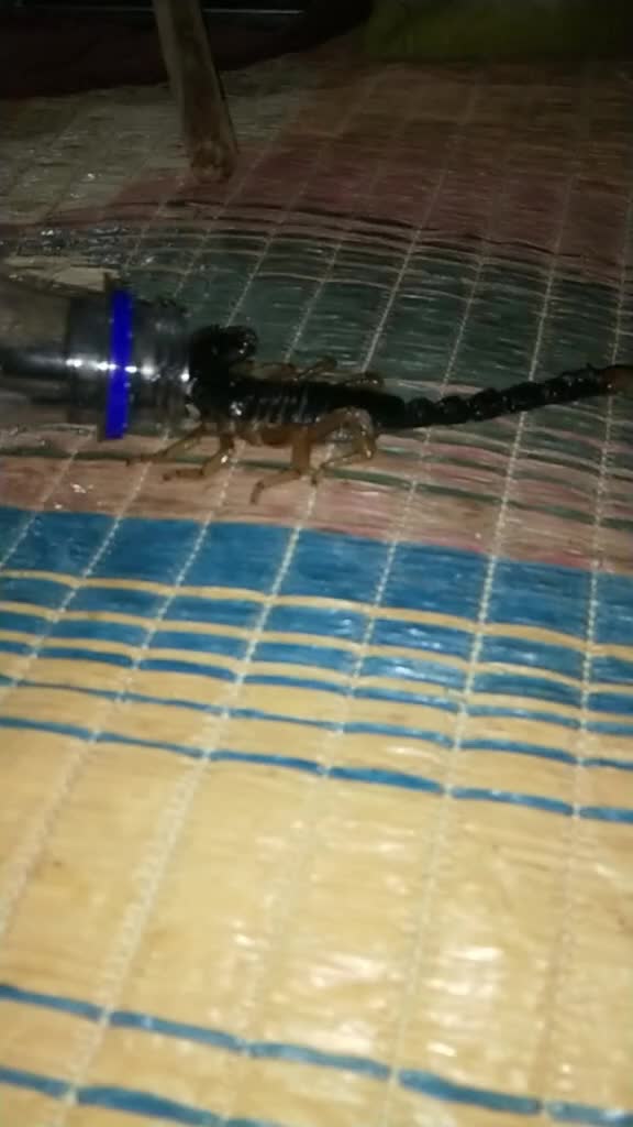 @Chinna Yadav