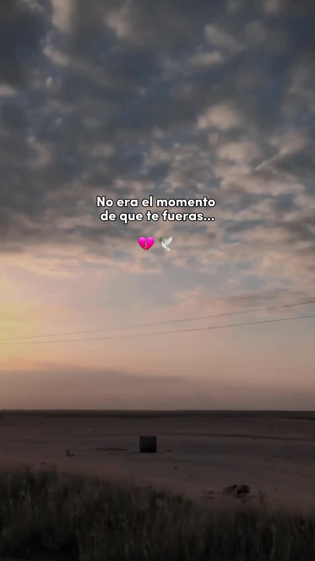 @Noches De Insomnio
