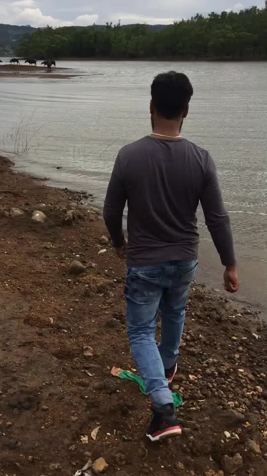 @salim shaikh
