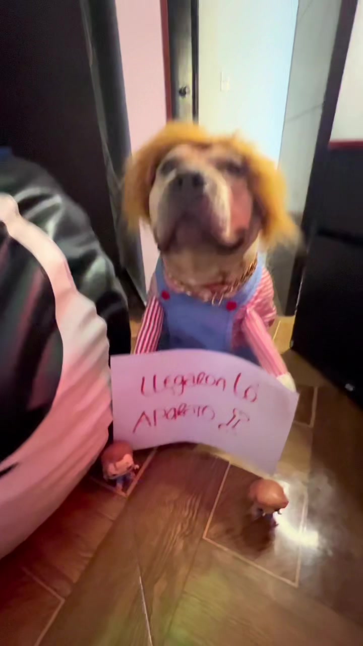 @Vikingo606