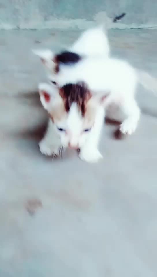 @Mr _pathik
