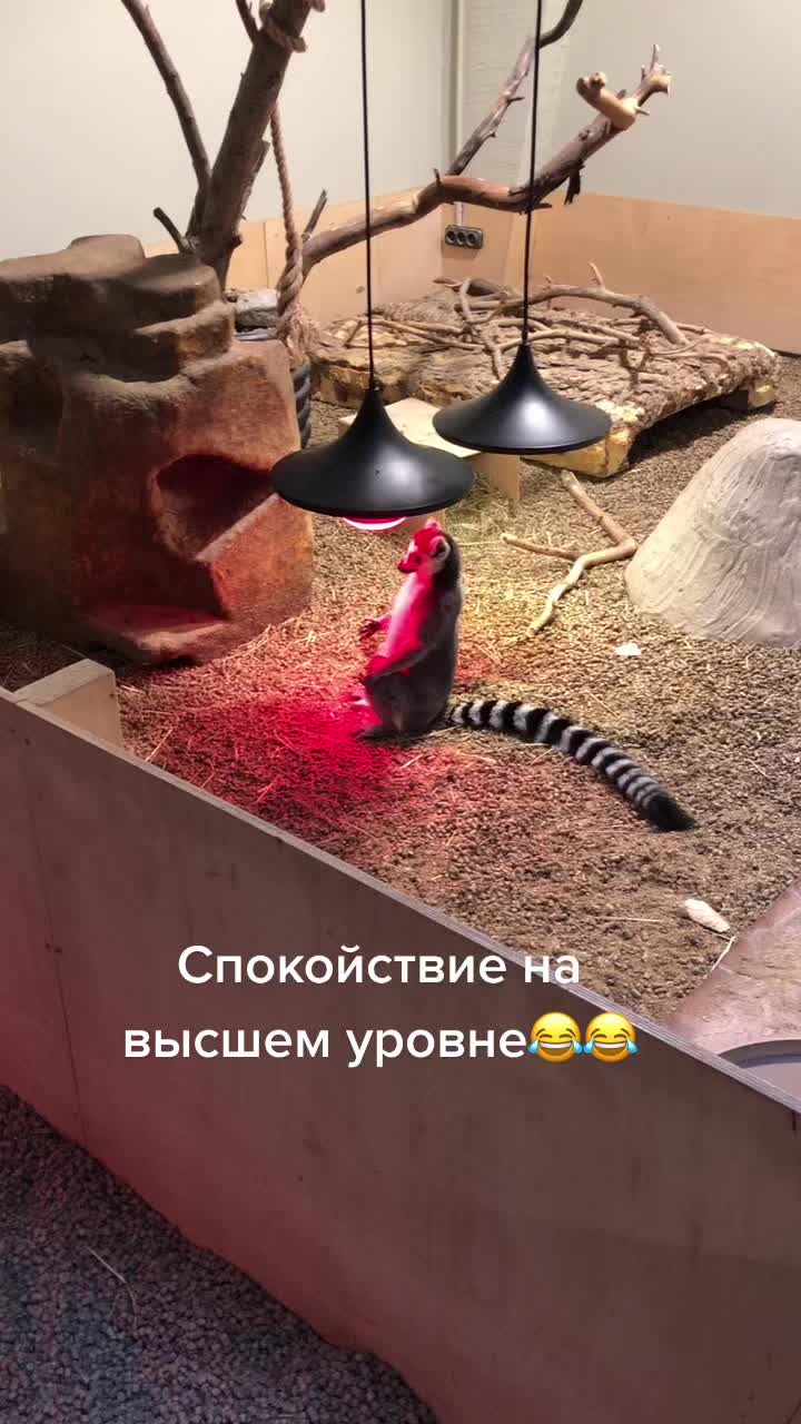 @Artur Demidov
