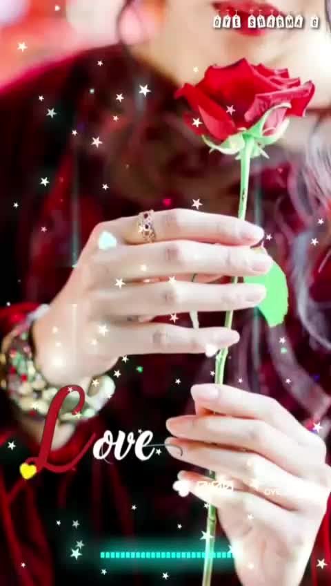 @user977929664556