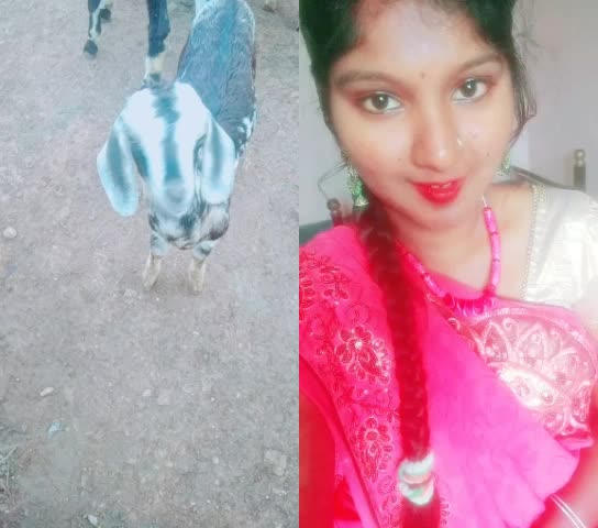 @AmmaNanna
