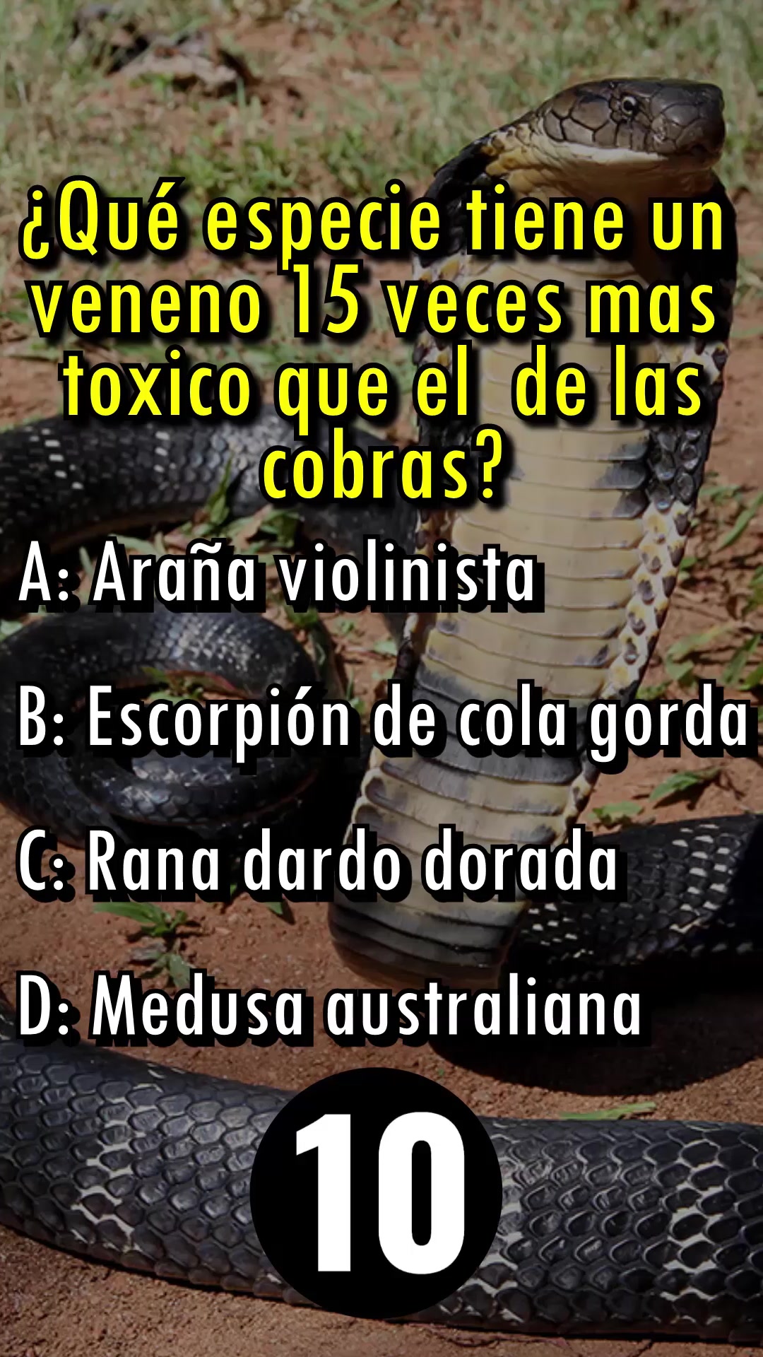@Leguna Mental Oficial
