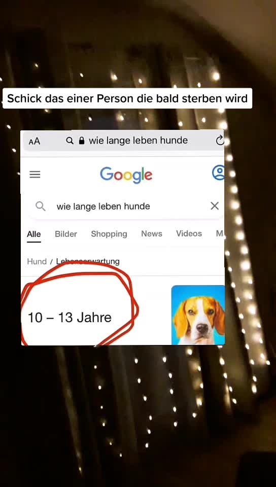 @Marcisteinhund12
