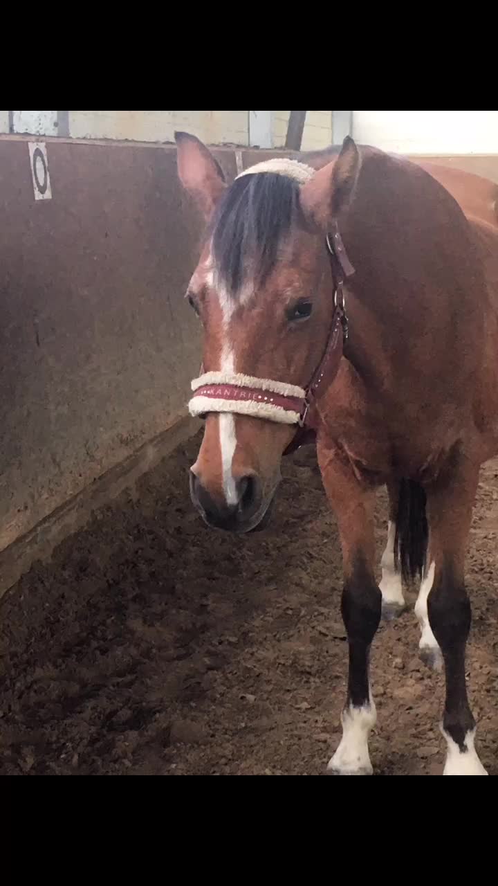 @Nina
