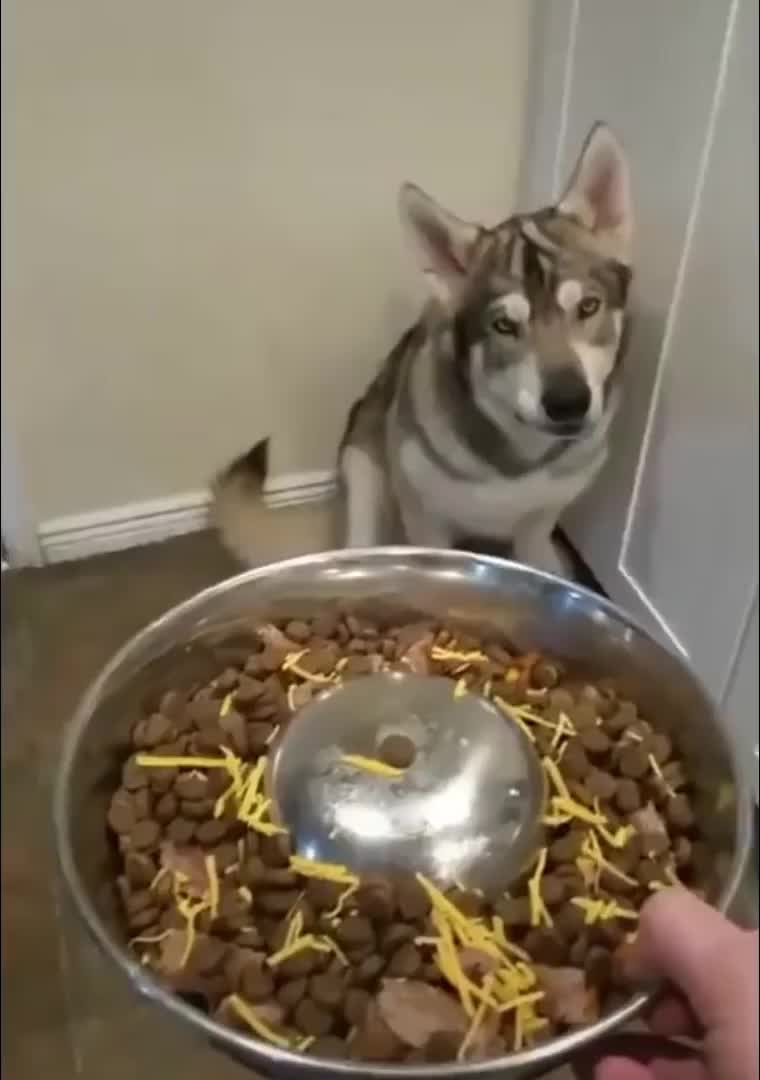 @Derpyoso