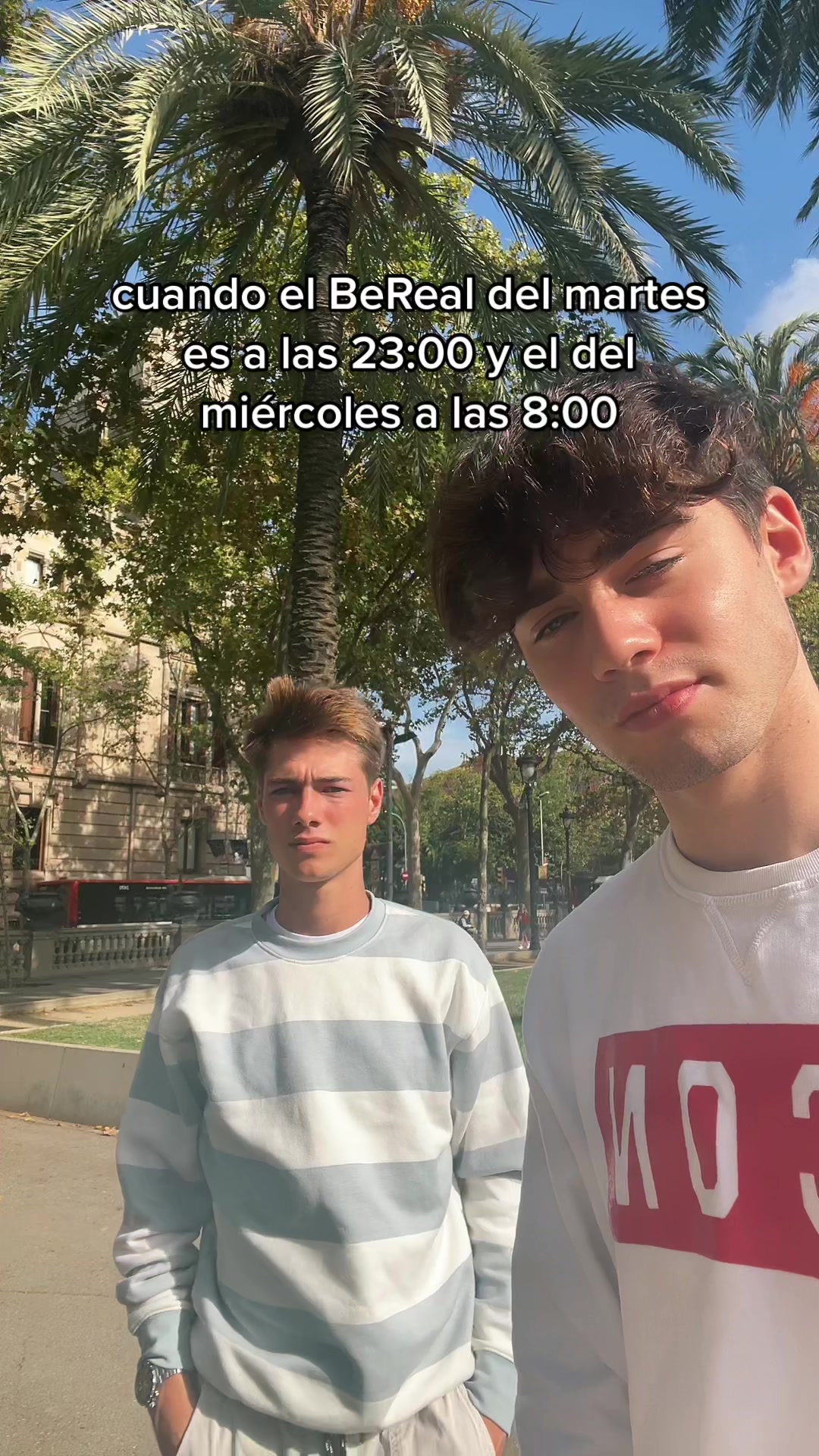 @alex vicente