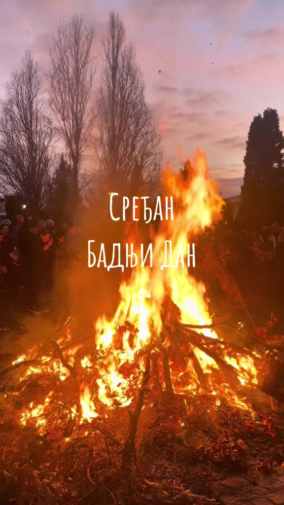 @nikolamilicbrzi5