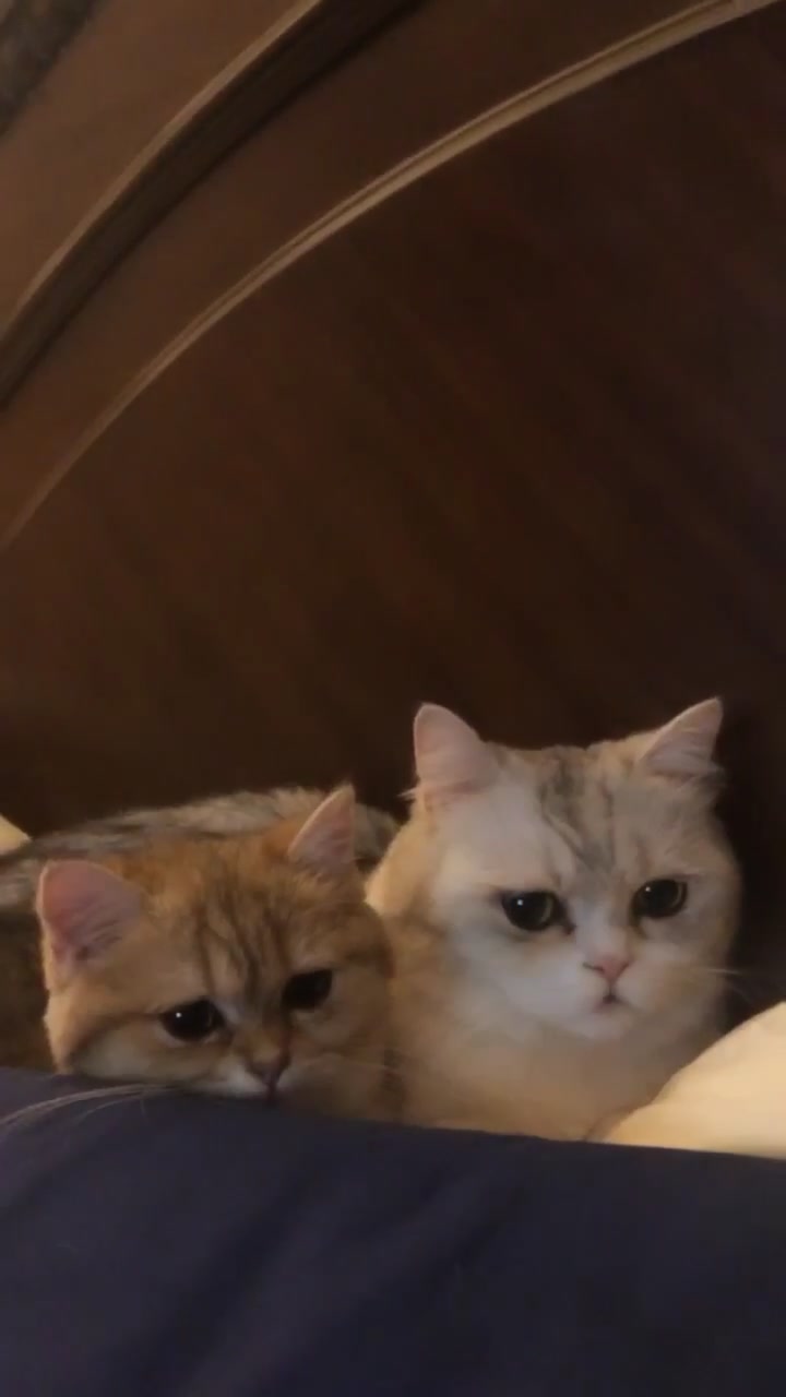 @Momo & Mimi