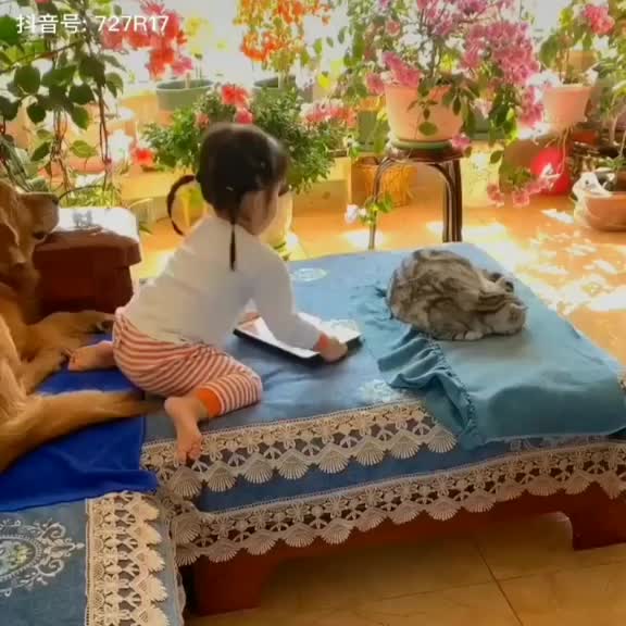@Viral sutra