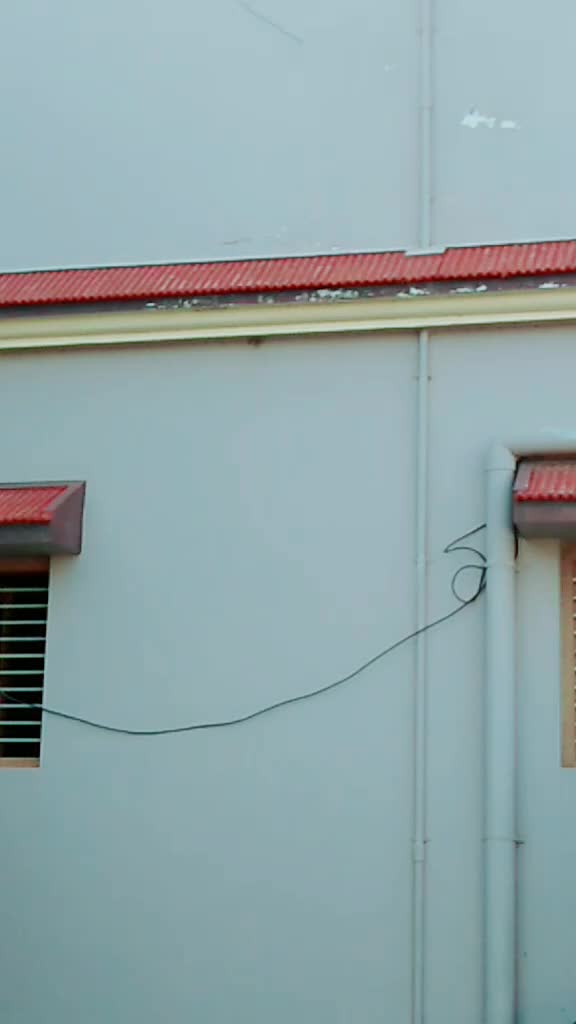 @mokha Ranjitsinh