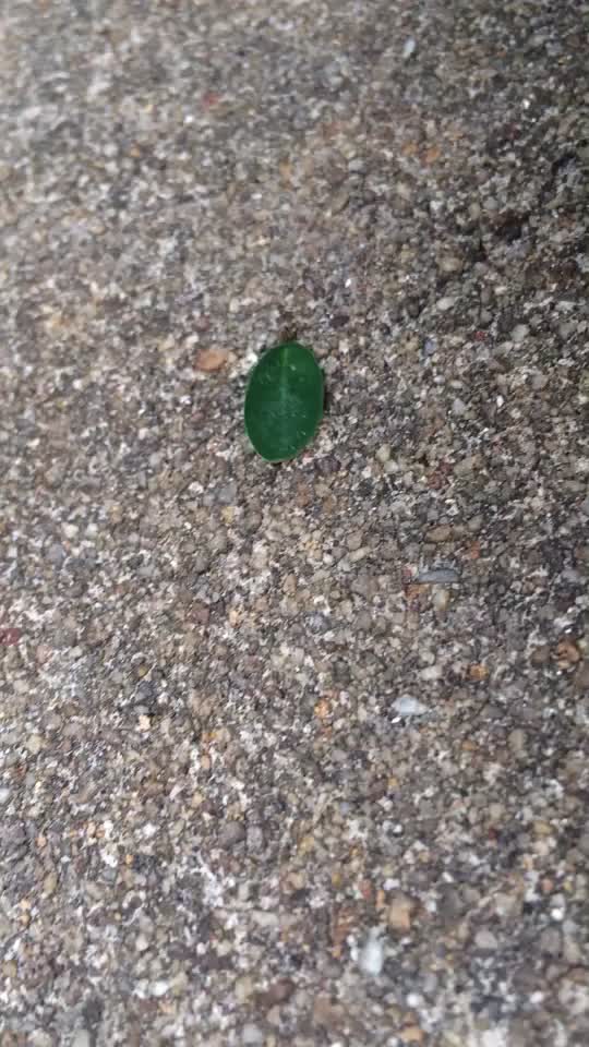 @suraj2315
