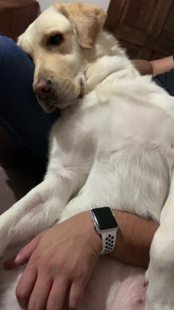 @Lunalinda.lab