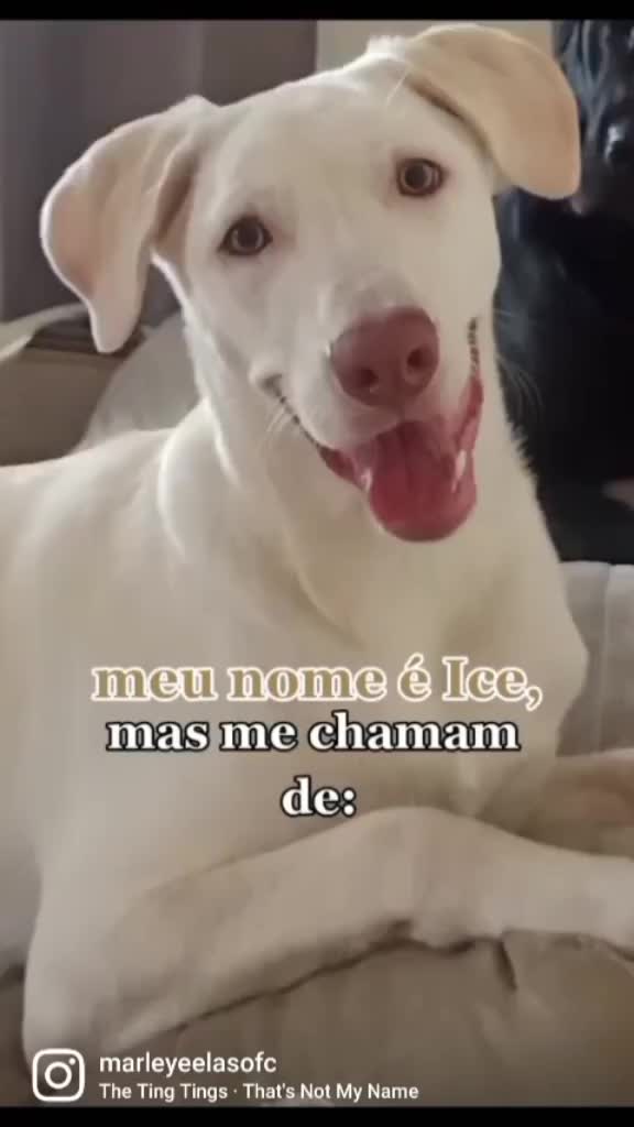 @MARLEY E ELAS