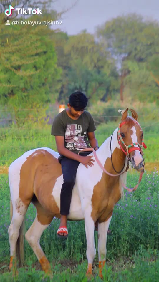 @Yuvibha Horse lover