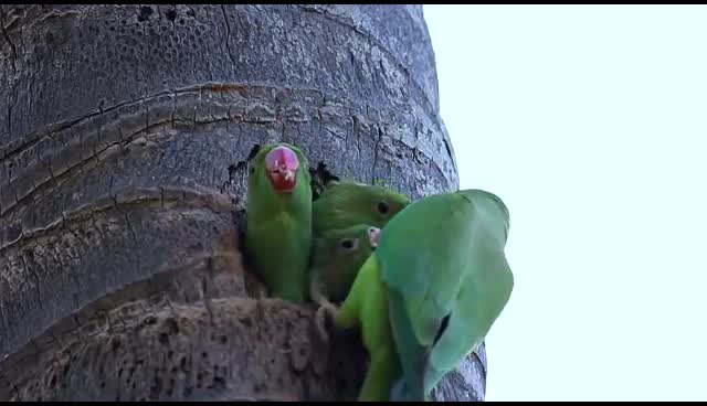 @Latha P