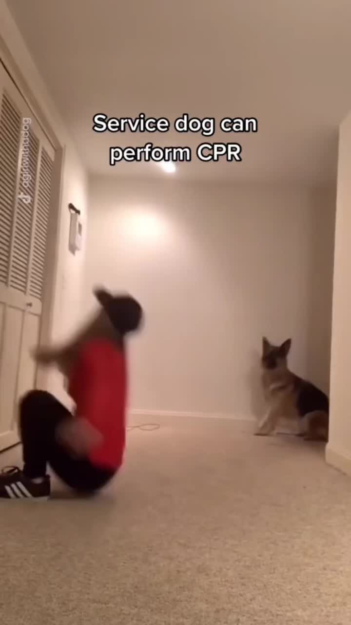 @Houseday007