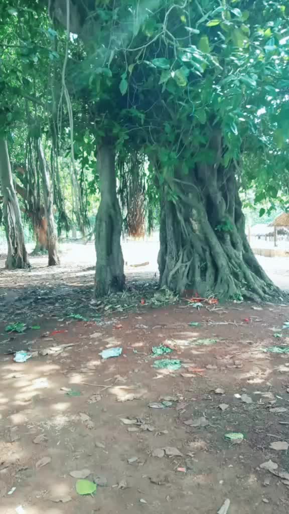 @papu sahoo