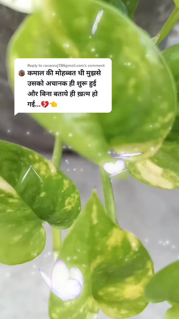 @kanchan meetu