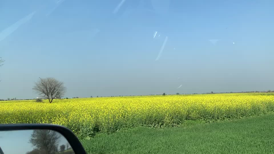 @Anil Kapasiya Yogi
