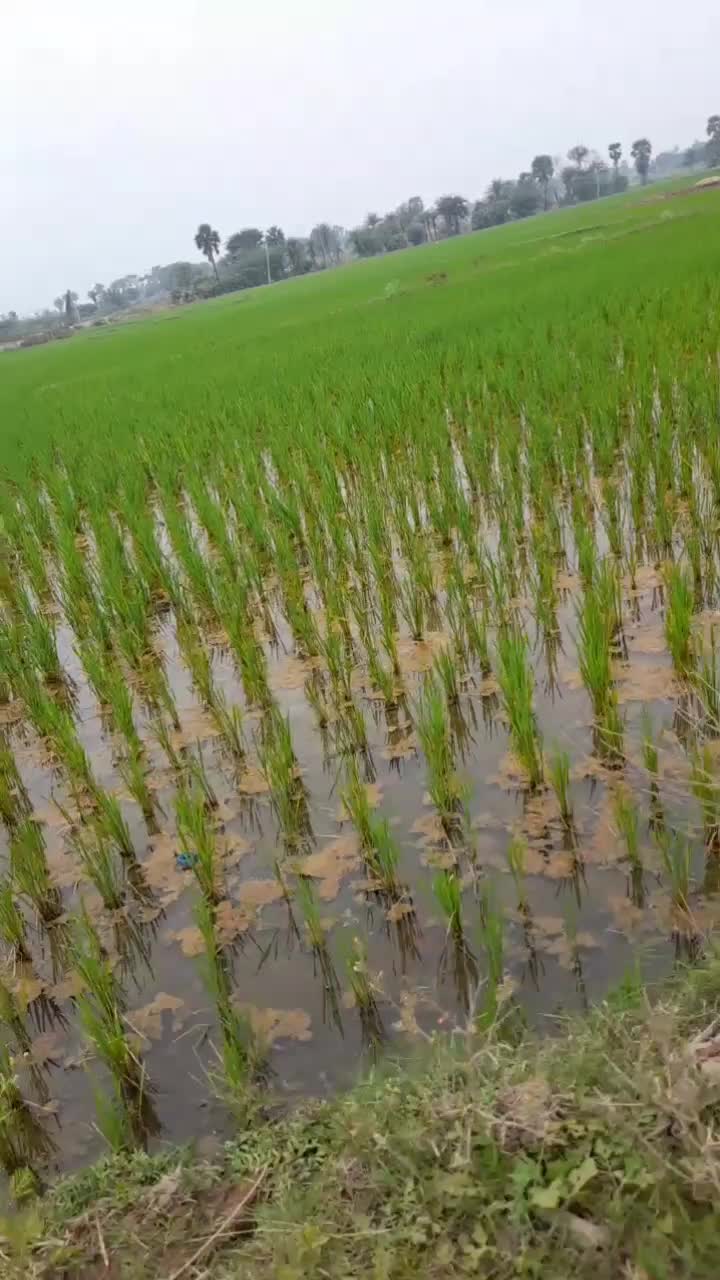 @user3986324611331