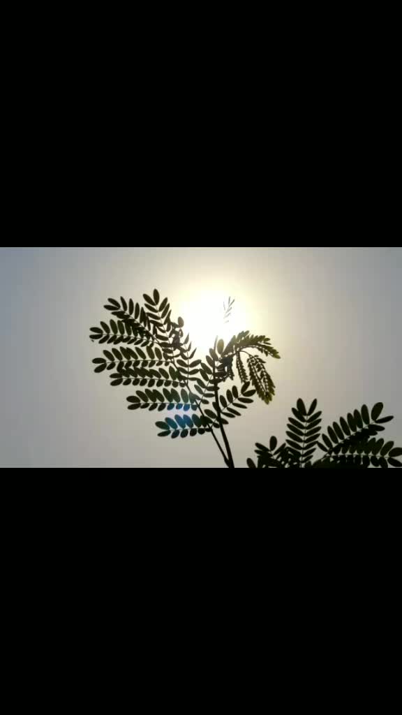 @NP Patil