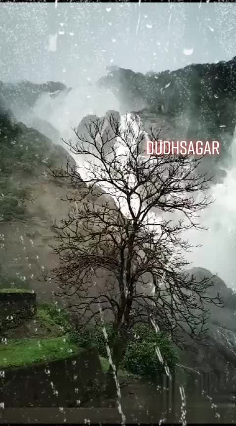 @Sanjana Majalkar