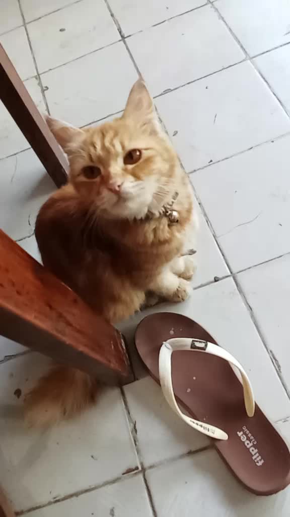 @BENGKEL CAT MOBIL DOA IBU MJK