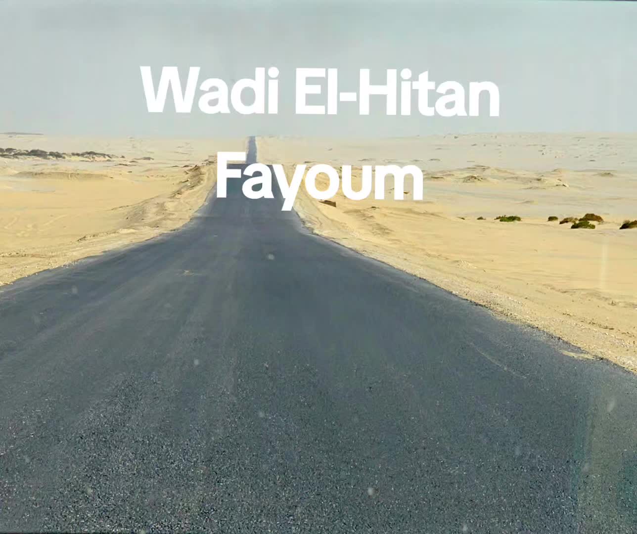 @Mo.MOUSSA