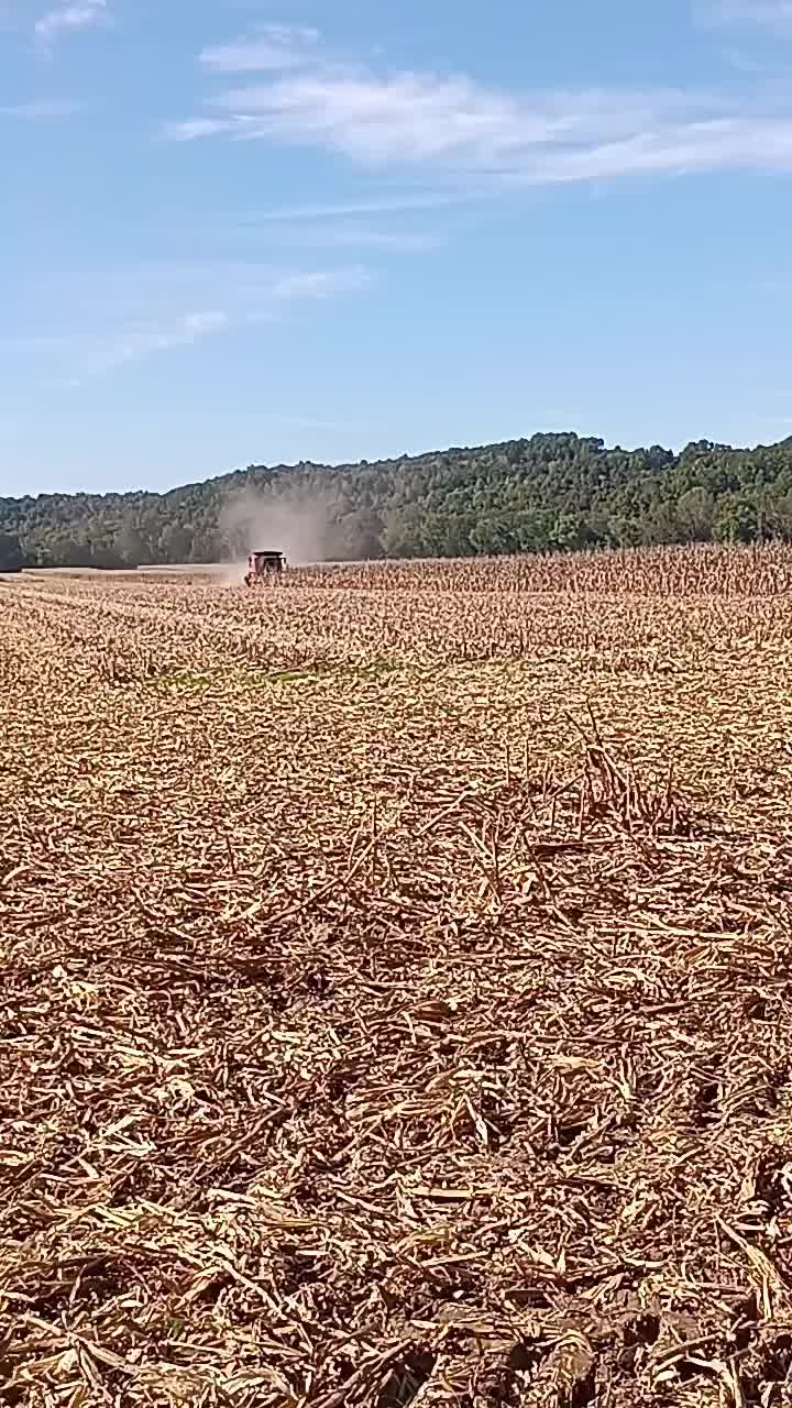 @kentuckyconcreteDad