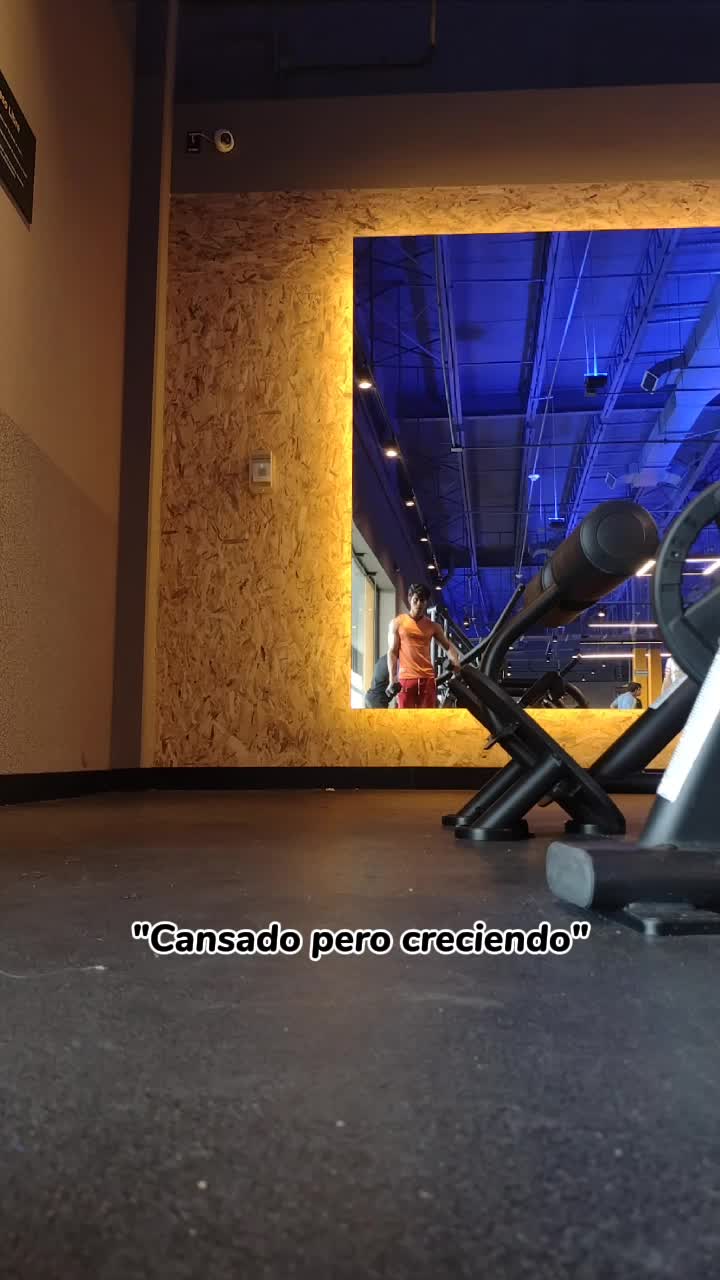 @edizlap