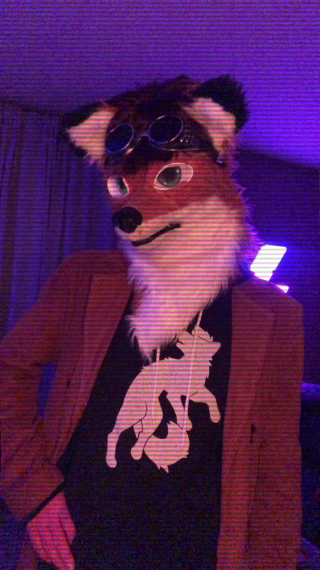 @Kitsu Foxx