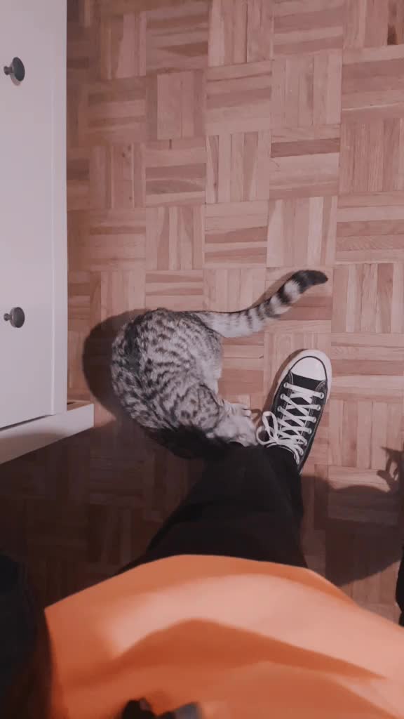 @maelys_et_todoroki