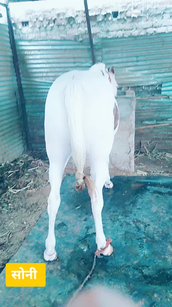 @@ajinkypatil123