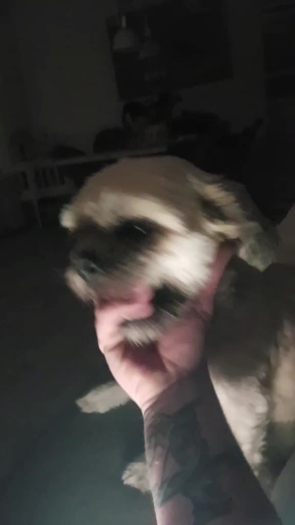 @Eelco