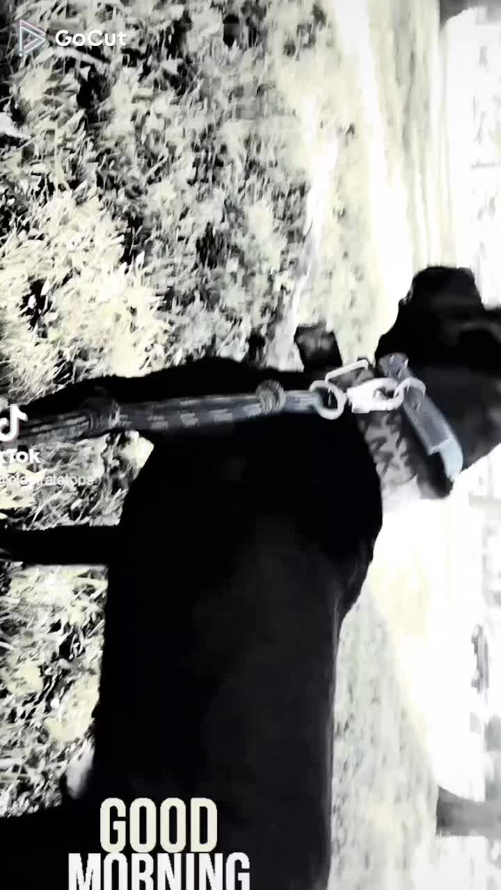 @oldpirate
