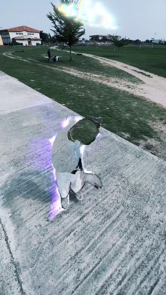 @Waddoski